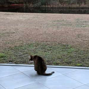 Meet your Posher, Alison